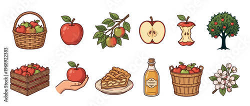 Collection of various apple illustrations including fresh whole and sliced fruit, apple tree, blossoms, pie, cider, and basket.