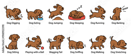 Cute cartoon dog performing different actions and behaviors, including digging, eating, sleeping, running, and playing.