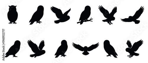 Owls silhouettes in various poses, including standing, perching, and flying, illustrating the majestic nocturnal birds of prey.