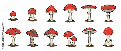 Red spotted mushrooms illustration set depicting various stages of growth and different forms emerging from the earth.