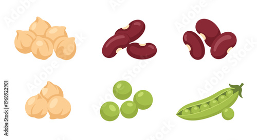A diverse collection of legumes including chickpeas and kidney beans are arranged in neat groups alongside a fresh green pea pod on a white background.