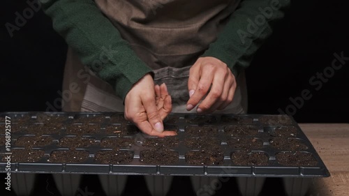 Caucasian Sower Placing Seeds By Fingertip Into Cells, Intimate Closeup Of Hands Dropping Seeds And Pressing