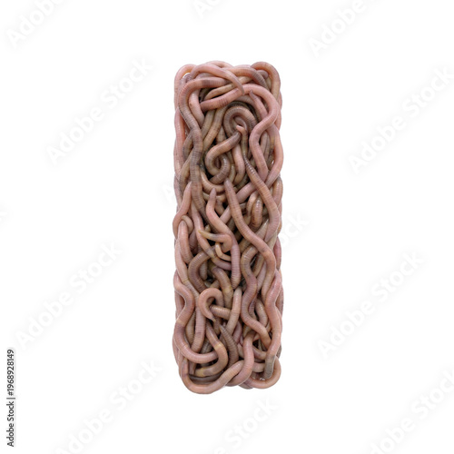earthworm letter L - small 3d earthworm font isolated on white background. This alphabet is perfect for creative illustrations related to gardening, compost, horror concept. Generative AI