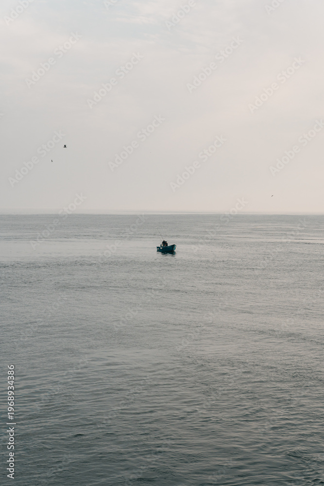 Fototapeta premium fishing in the sea