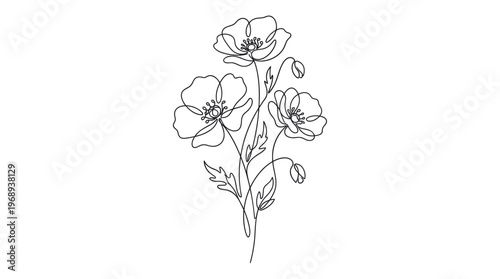 Poppy flowers bouquet in elegant continuous one line drawing style