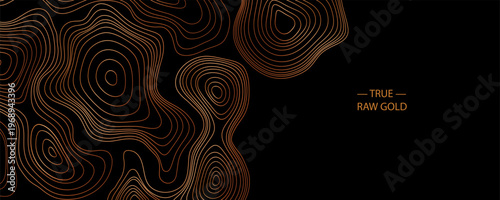 Elegant white  line vector organic pattern in Japanese style, abstract wave water contour, cloud topography premium fancy minimal template.