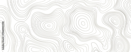 Elegant white  line vector organic pattern in Japanese style, abstract wave water contour, cloud topography premium fancy minimal template.