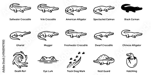 15 Black and White Crocodilian Vector Icons Flat Line Art Collection