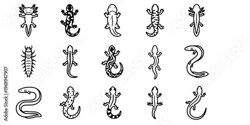 15 Black and White Salamander Newt Vector Icons Flat Line Art Bundle