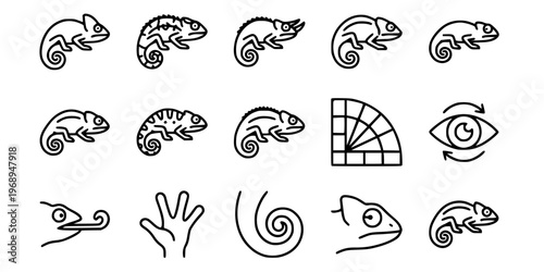 15 Black and White Chameleon Reptile Vector Icons Flat Line Art Elements
