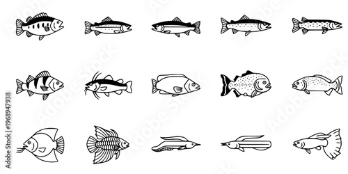 15 Black and White Freshwater Fish Vector Icons Flat Line Art Set