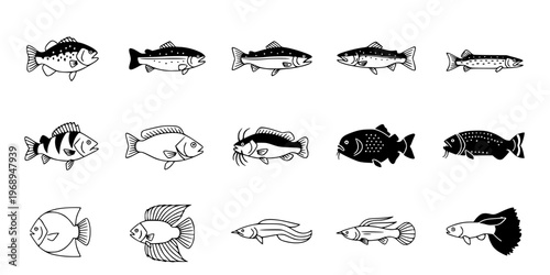 15 Black and White Freshwater Fish Vector Icons Flat Line Art Set