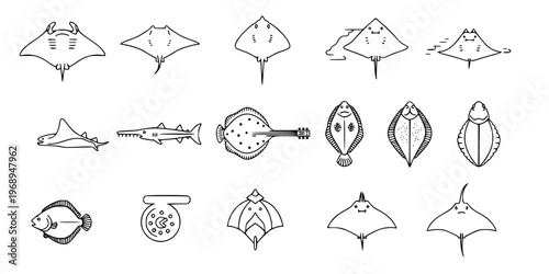 15 Black and White Ray and Flatfish Vector Icons Flat Line Art Bundle