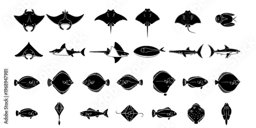 15 Black and White Ray and Flatfish Vector Icons Flat Line Art Bundle