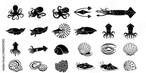 15 Black and White Cephalopod Mollusk Vector Icons Flat Line Art Set
