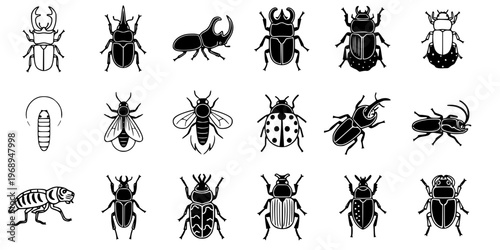 15 Black and White Beetle Bug Vector Icons Flat Line Art Microstock Set