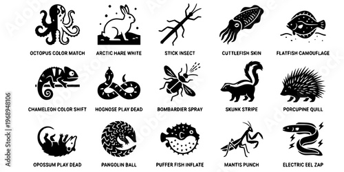 15 Black and White Animal Camouflage Defense Vector Icons Flat Line Art