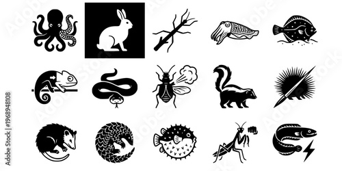 15 Black and White Animal Camouflage Defense Vector Icons Flat Line Art