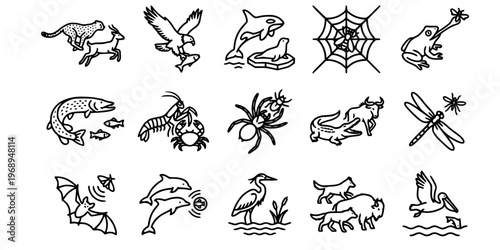 15 Black and White Predator Prey Relationship Vector Icons Flat Line Art