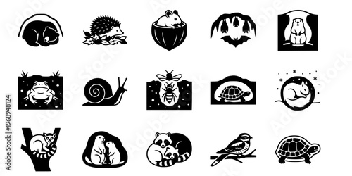 15 Black and White Hibernation Dormancy Vector Icons Flat Line Art