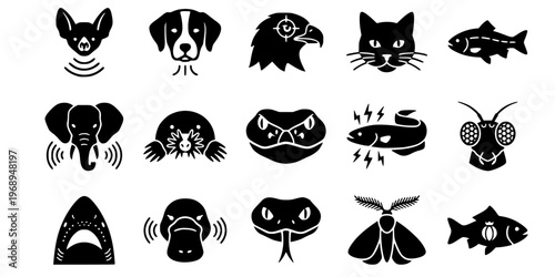15 Black and White Animal Sensory Perception Vector Icons Flat Line Art