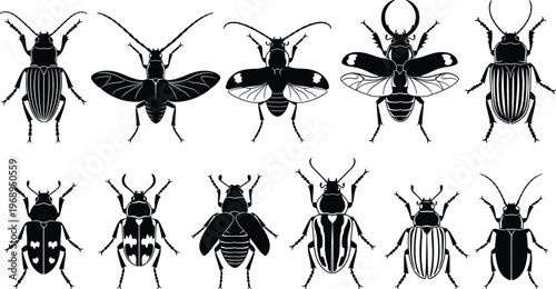 Insect silhouettes set beetle bug collection black and white vector illustration isolated background entomology wildlife design elements