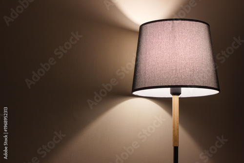 Floor lamp illuminates the wall. Interior design elements. Room lighting