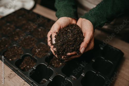 Принти на полотні Hands Holding Rich Compost Soil, Tactile View Of Dark Loam With Visible Organic