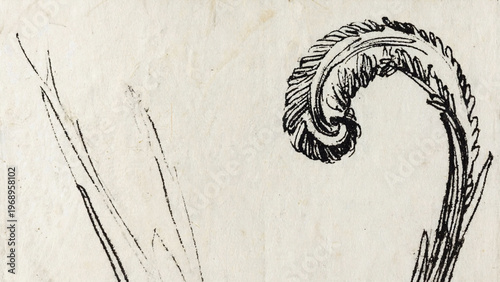 Delicate fern leaf in ink-drawn style, black on light paper texture. Ai generated.