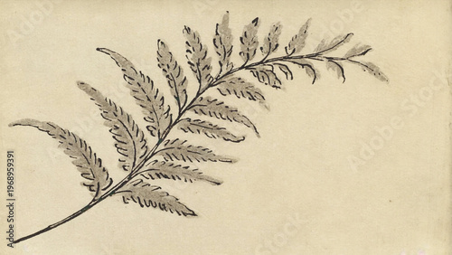 Delicate fern leaf in ink-drawn style, black on light paper texture. Ai generated.