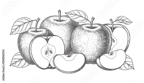 Black and white of whole and sliced apples with leaves stems