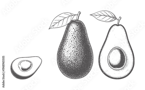 Hand drawn avocados whole and halved with leaves white fruit food healthy vintage