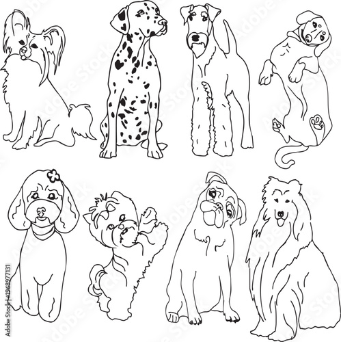 Vector set of different dog breeds in minimalist black line art style. Hand-drawn collection featuring Dalmatian, Pug, Terrier, Collie, Dachshund, and other popular breeds. Isolated contour illustrati
