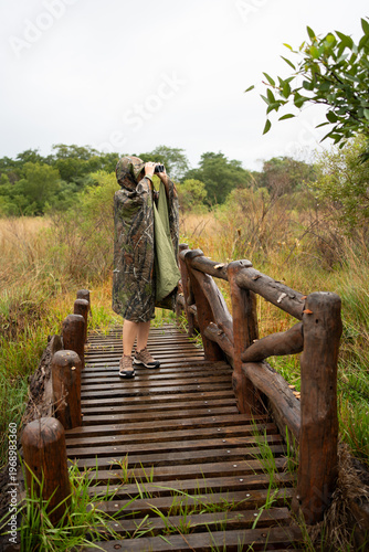 Person birdwatching on wooden bridge in nature