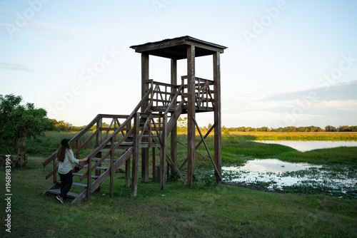 Person climbing observation tower for birdwatching in wetlands