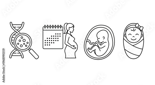 Conceptual vector line icons illustrating the human reproductive journey, from genetic foundations and prenatal development to the heartwarming arrival of a newborn