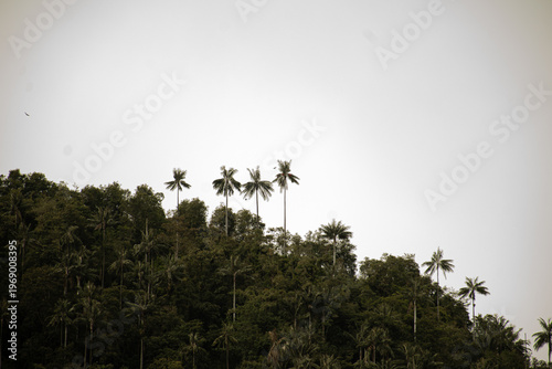 Nevado del Ruiz Colombia, Caldas, Naturaleza, nevados y viajes	
