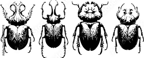 Ornamental Beetle Illustration Collection Featuring Vintage Engraved Insect Designs with Colorful Symmetrical Patterns