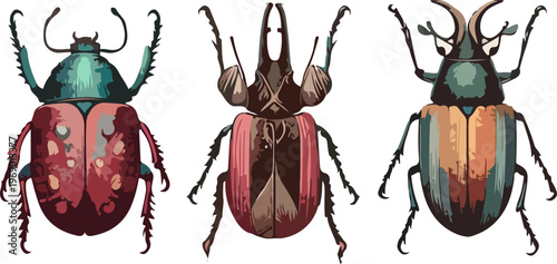 Ornamental Beetle Illustration Collection Featuring Vintage Engraved Insect Designs with Colorful Symmetrical Patterns