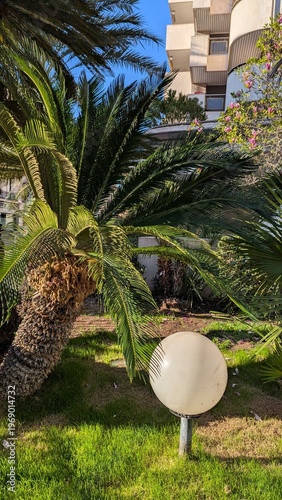 Lush Garden Oasis Palm Trees and a Glowing Sphere in a Serene Urban Landscape, day light