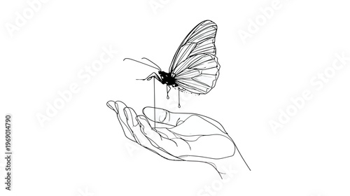 Line art illustration: Hand releasing a butterfly. Delicate black and white drawing symbolizing freedom, nature, and growth.
