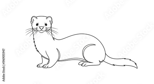 Black and white illustration of a slender weasel on a white backdrop