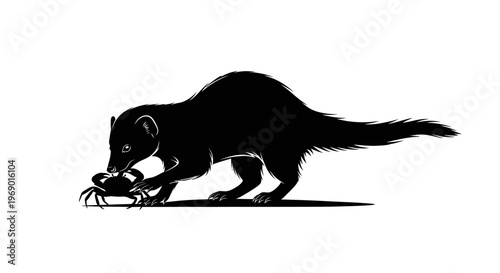 Silhouette of a mongoose eating a crab wildlife illustration
