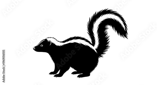 Black and white skunk isolated on white background for design elements