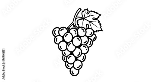 Black and white illustration of a grape cluster with leaf on a white background