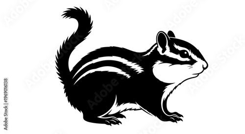 Black and white chipmunk illustration isolated on white background
