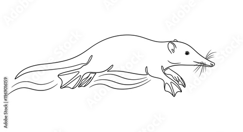 Line drawing of a small mammal with webbed feet leaping over a wavy element