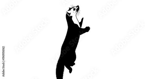 Black and white illustration of a slender animal standing upright on hind legs