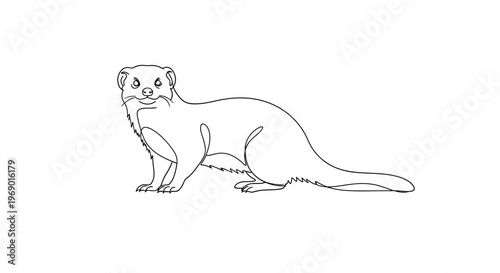 Minimalist line drawing of a weasel on white background for commercial use