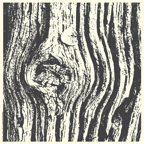 Close-up texture of old wood grain with knots with grain pattern with wood background with tree bark with timber texture with aged wood with wood art with wood surfaces with wood macro